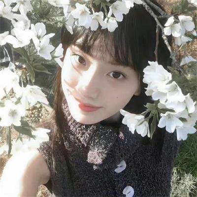 荒野独居第十季