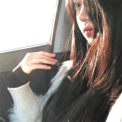 猫与苍蝇